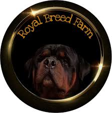 Royal Breed Farm